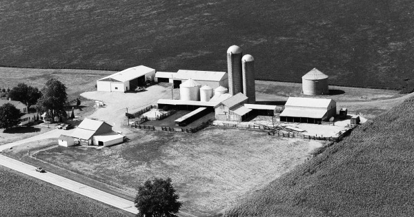 Vintage Aerial photo from 1983 in McLean County, IL