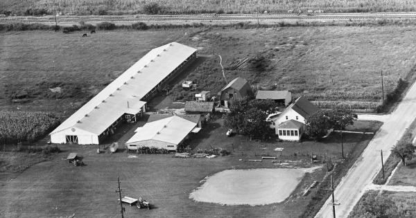 Vintage Aerial photo from 1963 in Randolph County, IL