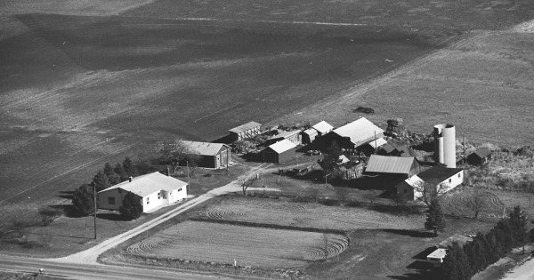 Vintage Aerial photo from 1981 in Ogemaw County, MI