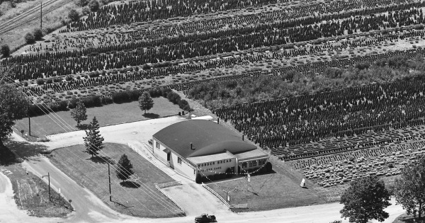 Vintage Aerial photo from 1968 in Madison County, IL