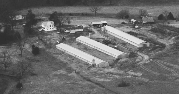 Vintage Aerial photo from 1988 in Benton County, AR