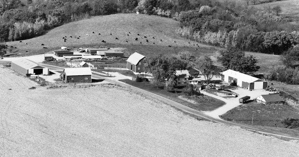 Vintage Aerial photo from 1980 in Jo Daviess County, IL