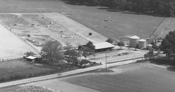 Vintage Aerial photo from 1983 in Burke County, GA