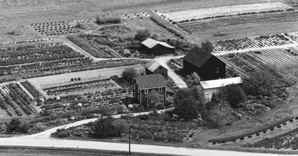 Vintage Aerial photo from 1965 in Burlington County, NJ