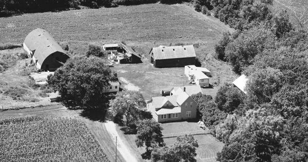 Vintage Aerial photo from 1980 in Mower County, MN