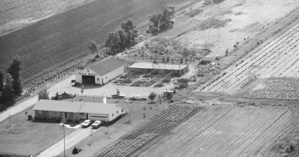Vintage Aerial photo from 1980 in Bay County, MI