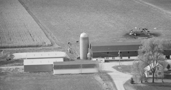 Vintage Aerial photo from 1979 in Wood County, WI