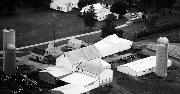 Vintage Aerial photo from 1975 in Will County, IL