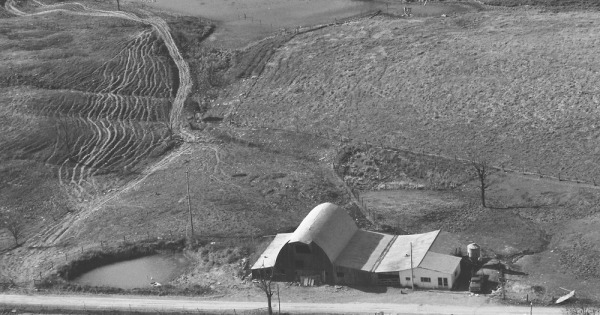 Vintage Aerial photo from 1981 in Owen County, KY