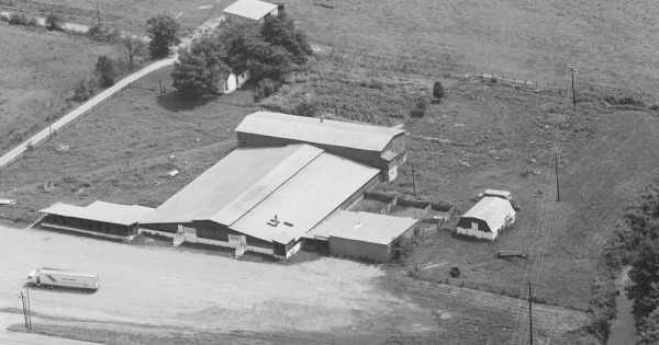 Vintage Aerial photo from 1979 in Metcalfe County, KY