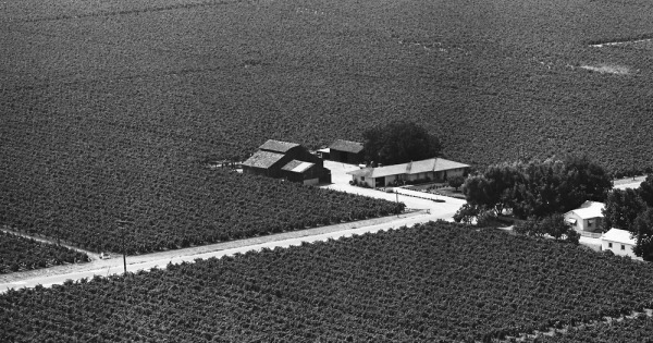 Vintage Aerial photo from 1965 in Fresno County, CA