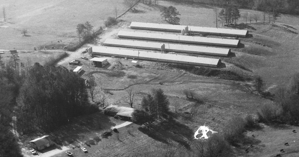 Vintage Aerial photo from 1995 in Habersham County, GA