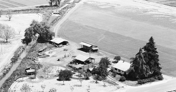 Vintage Aerial photo from 1967 in Tulare County, CA