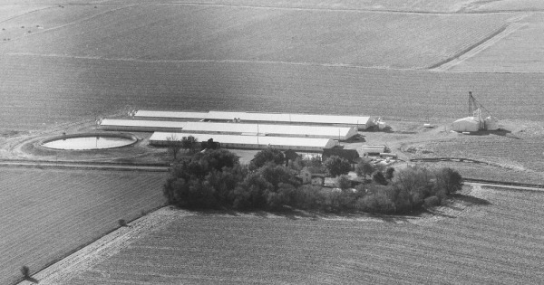 Vintage Aerial photo from 1987 in Sioux County, IA