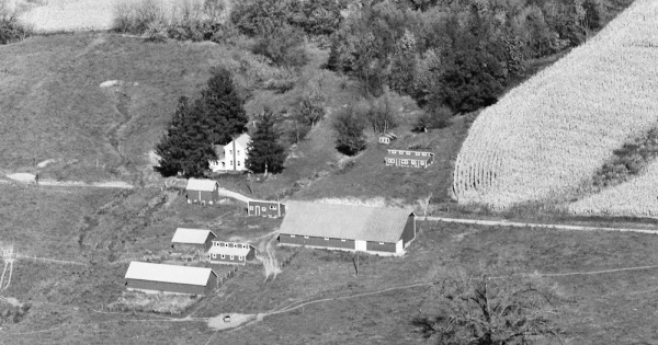 Vintage Aerial photo from 1980 in Jo Daviess County, IL
