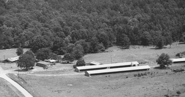 Vintage Aerial photo from 1986 in Shelby County, TX
