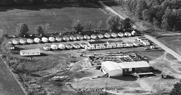 Vintage Aerial photo from 1972 in Gratiot County, MI