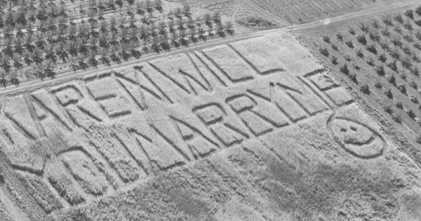 Vintage Aerial photo from 1995 in Ottawa County, MI