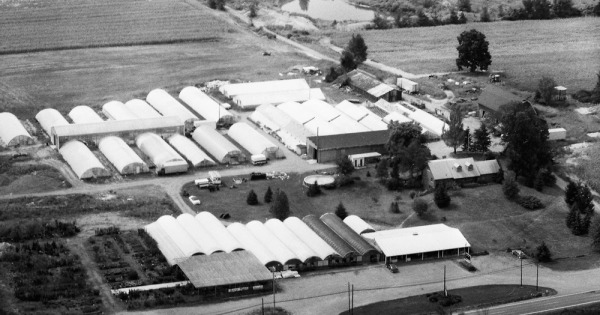 Vintage Aerial photo from 1982 in Oakland County, MI