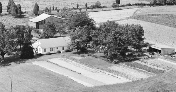 Vintage Aerial photo from 1983 in Cleveland County, NC