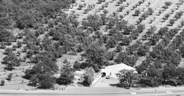 Vintage Aerial photo from 1969 in Shasta County, CA