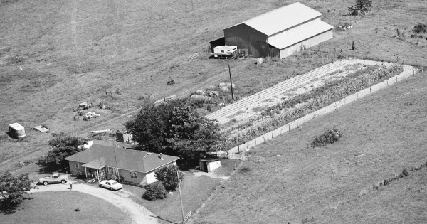 Vintage Aerial photo from 1986 in Yell County, AR