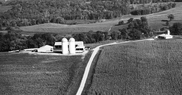 Vintage Aerial photo from 1967 in Meeker County, MN