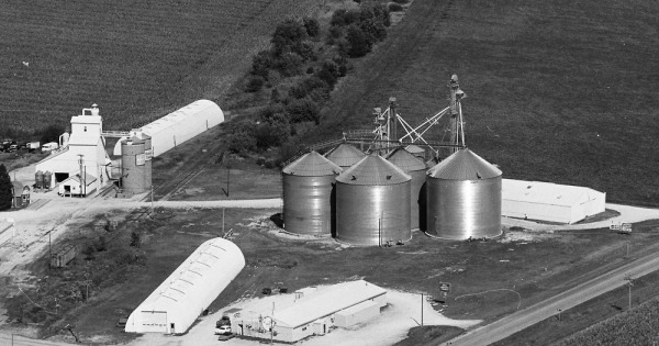 Vintage Aerial photo from 1981 in Louisa County, IA