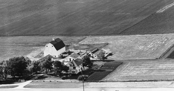 Vintage Aerial photo from 1965 in DuPage County, IL