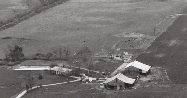 Vintage Aerial photo from 1982 in Larue County, KY