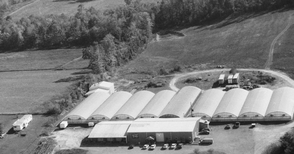 Vintage Aerial photo from 1995 in Jefferson County, PA