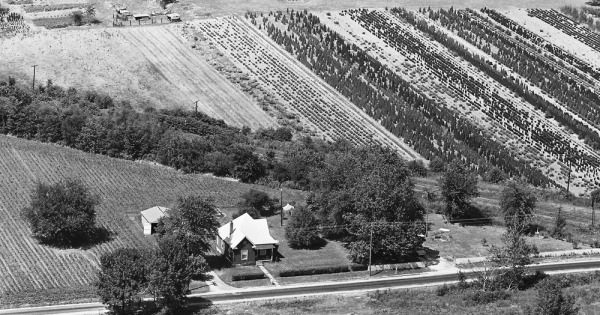 Vintage Aerial photo from 1968 in Madison County, IL