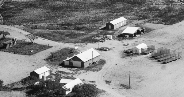 Vintage Aerial photo from 1987 in Concho County, TX