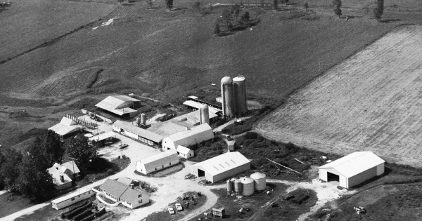 Vintage Aerial photo from 1991 in Wicomico County, MD