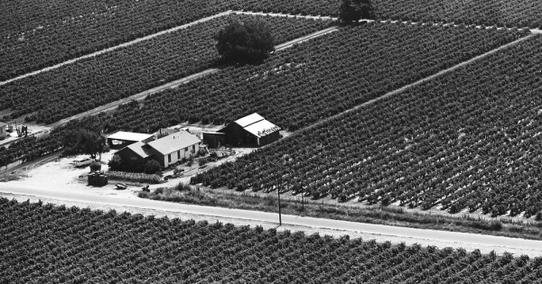 Vintage Aerial photo from 1965 in Fresno County, CA