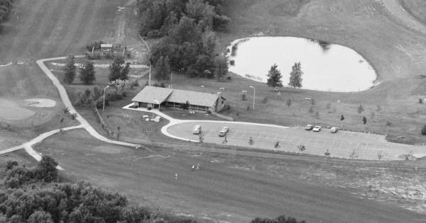 Vintage Aerial photo from 1985 in Wayne County, MI