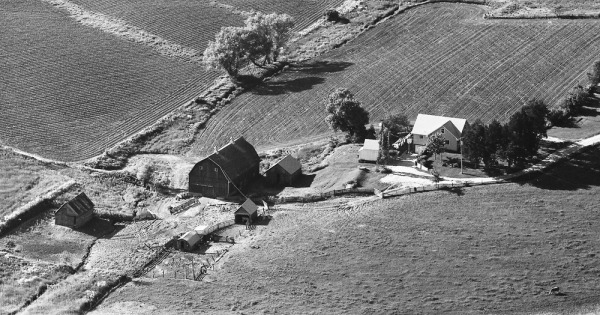 Vintage Aerial photo from 1973 in Jackson County, IA