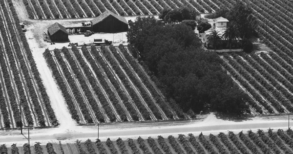 Vintage Aerial photo from 1965 in Fresno County, CA