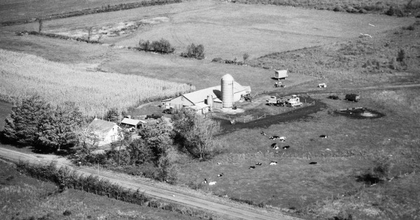 Vintage Aerial photo from 1990 in Clinton County, NY