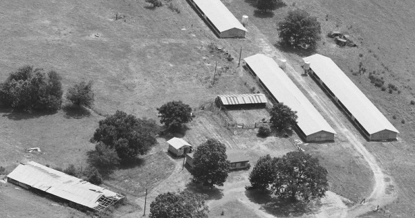 Vintage Aerial photo from 1986 in Shelby County, TX