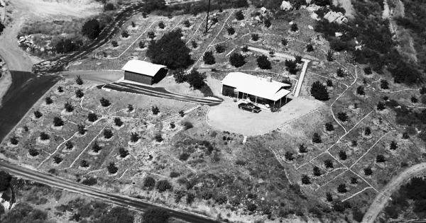 Vintage Aerial photo from 1967 in San Diego County, CA