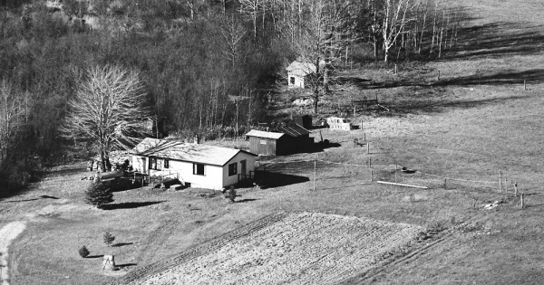 Vintage Aerial photo from 1981 in Ogemaw County, MI