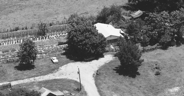 Vintage Aerial photo from 1984 in Warren County, MS