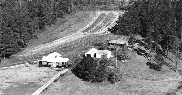 Vintage Aerial photo from 1965 in Wake County, NC