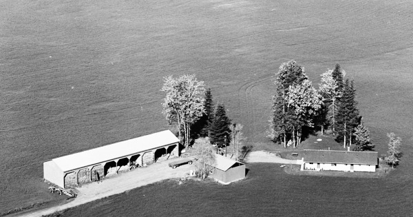 Vintage Aerial photo from 1968 in Clark County, WA