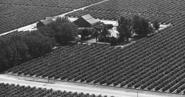 Vintage Aerial photo from 1965 in Fresno County, CA