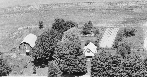 Vintage Aerial photo from 1983 in Allegan County, MI