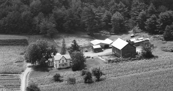 Vintage Aerial photo from 1984 in Lycoming County, PA