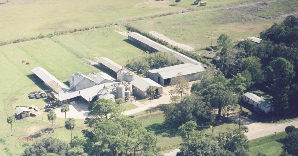 Vintage Aerial photo from 1998 in Volusia County, FL