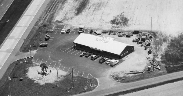 Vintage Aerial photo from 1994 in Kent County, DE